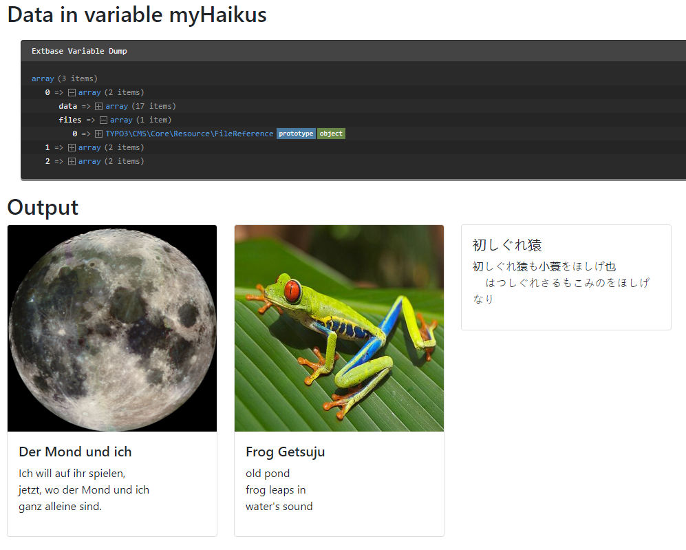 Haiku record data dump and output