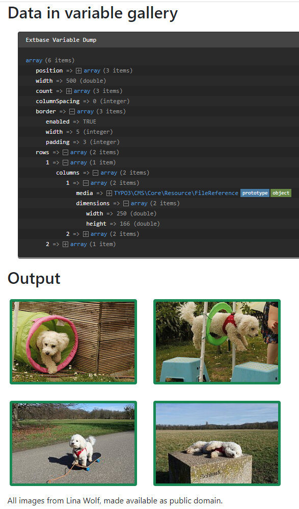 Gallery dump and output