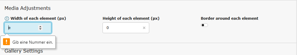 Input error caused by a letter entered in a number field