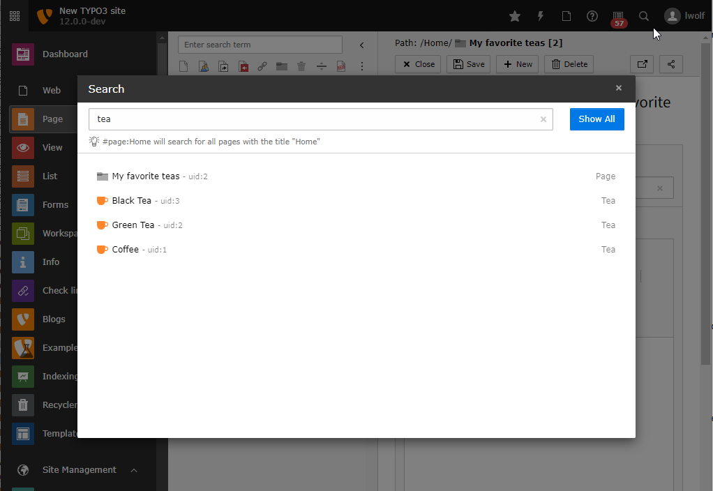 The backend search modal with some search results